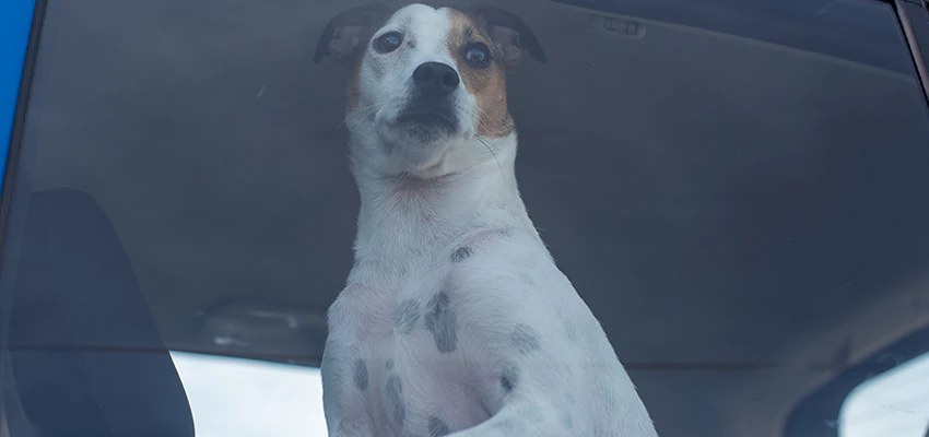 Car Lockout Solutions in Orange, California