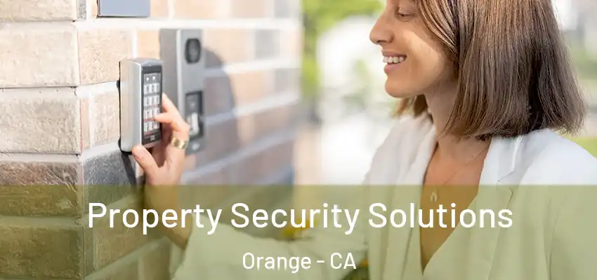 Property Security Solutions Orange - CA